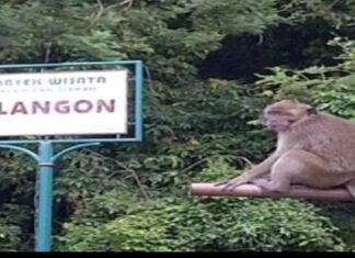 MISTERI RADJA KERA, Asal-usul Plangon Cirebon.
