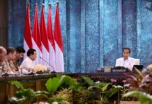 Presiden Terpilih Prabowo: Saya Tegaskan Kita Lanjutkan IKN, Kalau Bisa Percepat