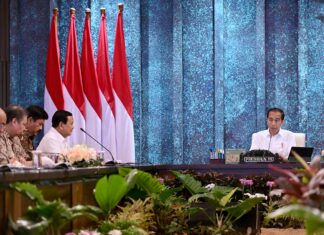 Presiden Terpilih Prabowo: Saya Tegaskan Kita Lanjutkan IKN, Kalau Bisa Percepat