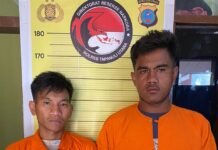 Satresnarkoba Polres Taput Tangkap 2 Orang Pengguna Narkoba Jenis Sabu