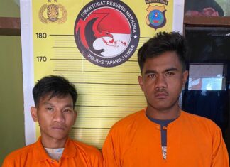 Satresnarkoba Polres Taput Tangkap 2 Orang Pengguna Narkoba Jenis Sabu