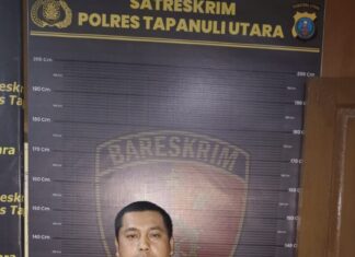 Rambo Pelaku Judi Togel Berhasil di Tangkap Sat Reskrim Polres Taput.