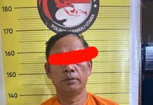 Satres Narkoba Polres Taput Amankan HMH Warga Siborongborong Pengedar Narkoba Jenis Ganja