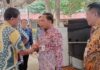 1.700 THL Tolak Paruh Waktu, Meminta PJ Walikota Tangerang Dorong ke BKN untuk PPPK Penuh Waktu