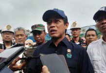 Menteri LHK Hanif Faisol Nurofiq Tanam 2.000 Pohon dan Soroti Penertiban Tambang Ilegal di Bogor