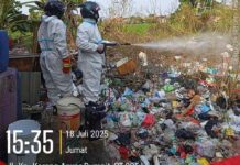Serbuan Ulat Bulu Resahkan Warga Batusari, Pemkot Tangerang Bergerak Cepat