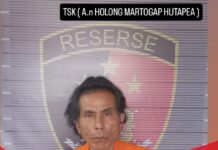 Pria di Taput Tewas Ditikam Usai Cekcok di Warung Tuak, Pelaku Ditangkap Saat Hendak Kabur