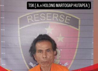 Pria di Taput Tewas Ditikam Usai Cekcok di Warung Tuak, Pelaku Ditangkap Saat Hendak Kabur