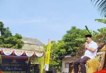 Spektakuler! Ulang Tahun ke-7 PSHT Rayon Binong Suguhkan Seni Budaya Memukau