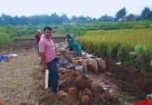 P3A Tirta Utama Panaragan Terima Bantuan P3-TGAI untuk Peningkatan Jaringan Irigasi