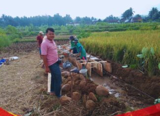 P3A Tirta Utama Panaragan Terima Bantuan P3-TGAI untuk Peningkatan Jaringan Irigasi