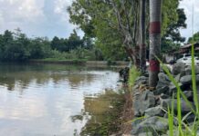 Diduga Proyek Siluman, Pemasangan Turap di Setu Cilala Jampang Dinilai Asal-asalan