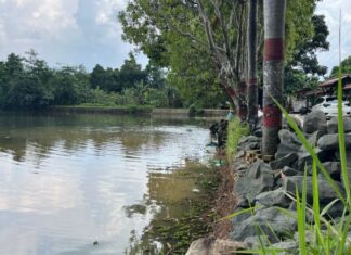 Diduga Proyek Siluman, Pemasangan Turap di Setu Cilala Jampang Dinilai Asal-asalan