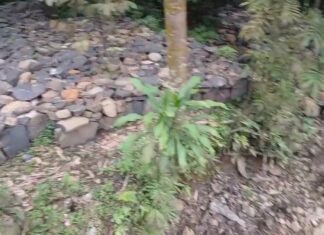 Pembangunan Jembatan di Desa Kalong Satu Bogor Diduga Tidak Transparan, Warga Soroti Penggunaan Batu Alam Lokal Tak Berizin