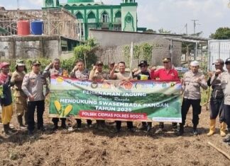Polsek Ciomas Tanam Jagung Hibrida Dukung Ketahanan Pangan Nasional
