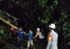 Reaksi Cepat Tim SAR Sat Brimob Polda Jabar Evakuasi Pohon Tumbang di Sumedang