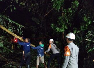 Reaksi Cepat Tim SAR Sat Brimob Polda Jabar Evakuasi Pohon Tumbang di Sumedang