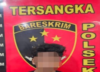 Polsek Lawang Kidul Berhasil Ringkus Pelaku Pencurian dengan Pemberatan di Desa Lingga