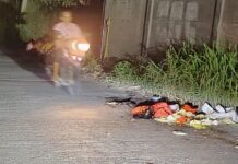 Sampah Berserakan di Jalan Raya Binong–Pasirandu, Pengendara Keluhkan Bahaya dan Minim Penerangan