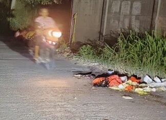 Sampah Berserakan di Jalan Raya Binong–Pasirandu, Pengendara Keluhkan Bahaya dan Minim Penerangan