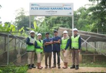 Dukung Aksi Iklim Berkelanjutan, PTBA Raih Penghargaan Pembina Desa Proklim 2025