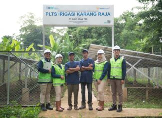 Dukung Aksi Iklim Berkelanjutan, PTBA Raih Penghargaan Pembina Desa Proklim 2025