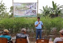 Panen Cabai dan Kerja Sama Bisnis Baru, Bukti Transformasi PETI Berjalan Sukses di Desa Darmo