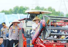 Polri Gelar Panen Raya Jagung Serentak di Bekasi, Wujud Dukungan Ketahanan Pangan Nasional