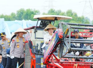 Polri Gelar Panen Raya Jagung Serentak di Bekasi, Wujud Dukungan Ketahanan Pangan Nasional