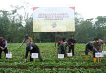 Polres Bogor Laksanakan Penanaman Jagung Serentak Kuartal I Dukung Ketahanan Pangan Nasional
