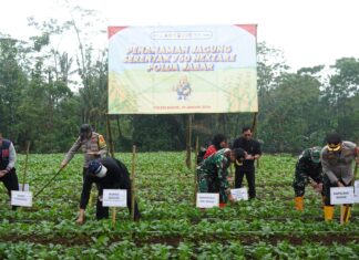 Polres Bogor Laksanakan Penanaman Jagung Serentak Kuartal I Dukung Ketahanan Pangan Nasional