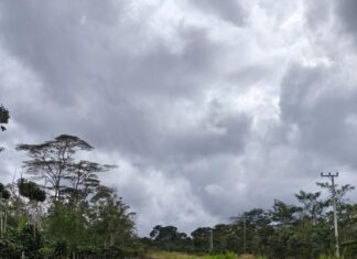 Diduga Proyek Abal Abal Nilai 1 Triliun di Bongkar K-MAKI