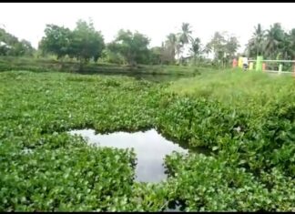 K MAKI Desak Polda Sumsel Segera Tetapkan Tersangka Dugaan Sertifikat Bodong Kolam Retensi Simpang Bandara