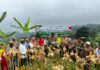 Kapolsek Babakan Madang Polres Bogor Panen Jagung Bersama Petani Jagung Bojong Koneng