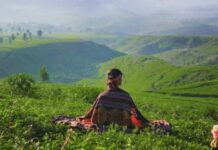 Desa Malasari Akan Jadi Destinasi Wisata Baru Di Kabupaten Bogor