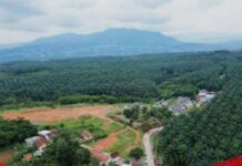 500 Hektare Lahan Sawit Rancabungur Disulap Jadi Sport Center Terbesar di Dunia, Ini Rencana Besarnya