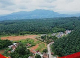 500 Hektare Lahan Sawit Rancabungur Disulap Jadi Sport Center Terbesar di Dunia, Ini Rencana Besarnya