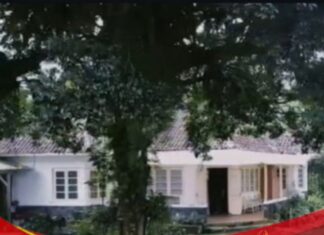 Pemkab Bogor Perkuat Identitas Daerah Lewat Ekspedisi Jejak Sejarah di Puncak