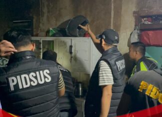 Polda Sumsel Sita 220 Kg Ganja dari Ladang 20 Hektar di Empat Lawang, 4 Pelaku Diburu