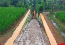 Sosok IP Pengusaha Asal Ciamis yang Peduli Lingkungan dan Gerakkan Warga Gotong Royong