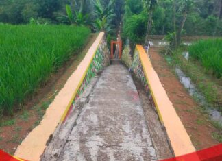 Sosok IP Pengusaha Asal Ciamis yang Peduli Lingkungan dan Gerakkan Warga Gotong Royong