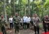 Kabupaten Bogor Siapkan Hutan Kota 25 Hektar di Jalur Bojonggede–Kemang