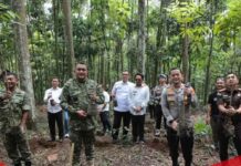 Kabupaten Bogor Siapkan Hutan Kota 25 Hektar di Jalur Bojonggede–Kemang