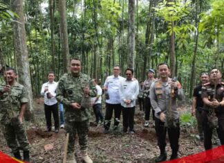 Kabupaten Bogor Siapkan Hutan Kota 25 Hektar di Jalur Bojonggede–Kemang
