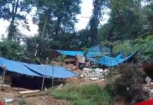 PETI di Citorek Lebak Ancam Lingkungan, Aktivis Sebut Jadi “Bom Waktu” Bencana