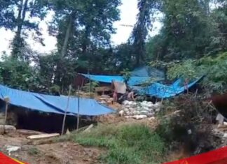 PETI di Citorek Lebak Ancam Lingkungan, Aktivis Sebut Jadi “Bom Waktu” Bencana