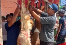 Warga Kampung Sudimampir Bojonggede Sembelih 1 Sapi dan 12 Kambing, Semangat Kebersamaan Warnai Iduladha 1447 H