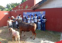 PT Jaya Wira Manggala Salurkan Hewan Kurban untuk Warga Kelapa Indah pada Iduladha 1447 H