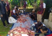 DPC Gerindra Kabupaten Bogor Sembelih 14 Ekor Sapi Kurban, Rudy Susmanto Sumbang Separuhnya