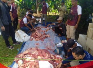 DPC Gerindra Kabupaten Bogor Sembelih 14 Ekor Sapi Kurban, Rudy Susmanto Sumbang Separuhnya